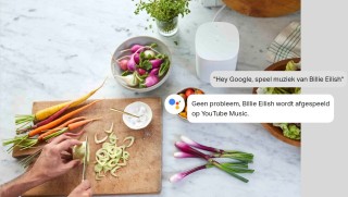 Sonos Google Assistant