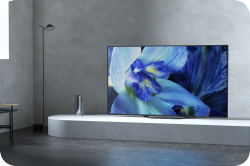 Sony OLED kd55ag8-sfeer1.jpg.png Y