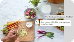 Sonos Google Assistant one-kitchen-food-chopGA.jpg.png Y
